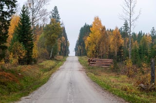 12. Forest plan - Åke Sjöström