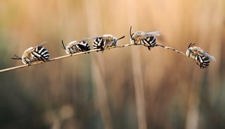 52441189991_2a97d49453_w © Panagiotis Dalagiorgos, Well with Nature EEA
