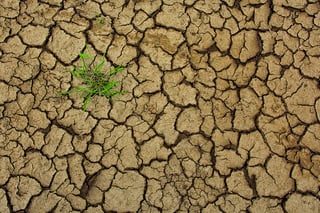9. EEA briefing agriculture, energy and transport © Orhan Kartal, Climate Change PIX _EEA