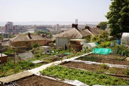Picture14
