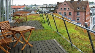 Sönksen