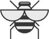 beetle