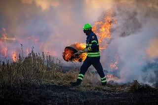 fire-6706674_640 Matthias Fischer, Pixabay