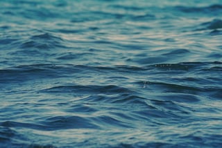 kranich17-water-6901805_1280