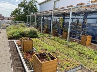 miguel vega green roofs