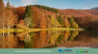 primary_photo-200-e4b48949bc84808504c89e1a749eba91
